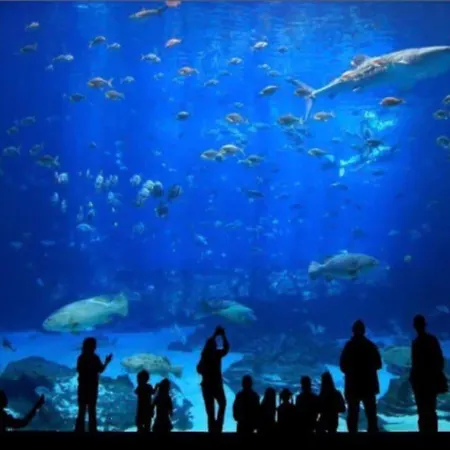 Kalima Canteras Loft Las Palmas de Gran Canaria